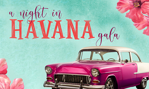 Image for Annual Foundation Gala